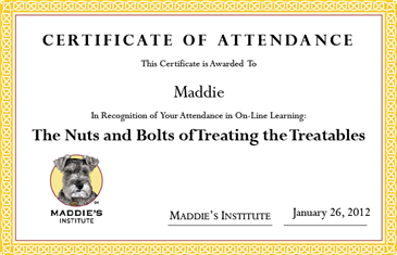 Certificate of Attendance